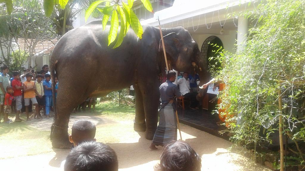 C-Lanka Guest House 阿鲁特伽马 外观 照片